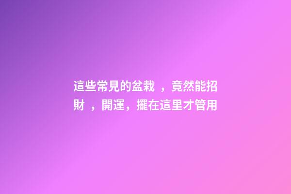 這些常見的盆栽，竟然能招財，開運，擺在這里才管用